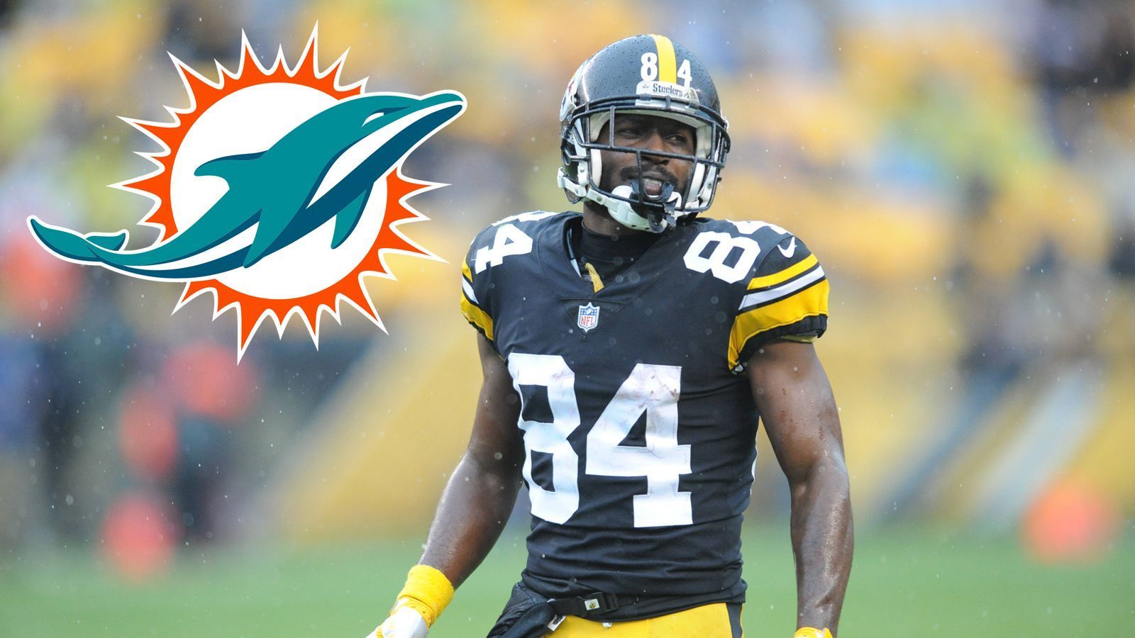 
                <strong>Miami Dolphins</strong><br>
                Antonio Brown könnte auch im schönen Miami landen. Die Dolphins befinden sich auf einem guten Weg, aber dennoch brauchen sie noch Hilfe auf der Receiver-Position. Das starke Interesse an Le'Veon Bell zeigte, dass sich die Dolphins weiter verbessern wollen. Mit Brown hätten sie eine sofortige Verstärkung, wenn er wieder an seine Form aus alten Tagen bei den Pittsburgh Steelers anknüpfen kann.
              