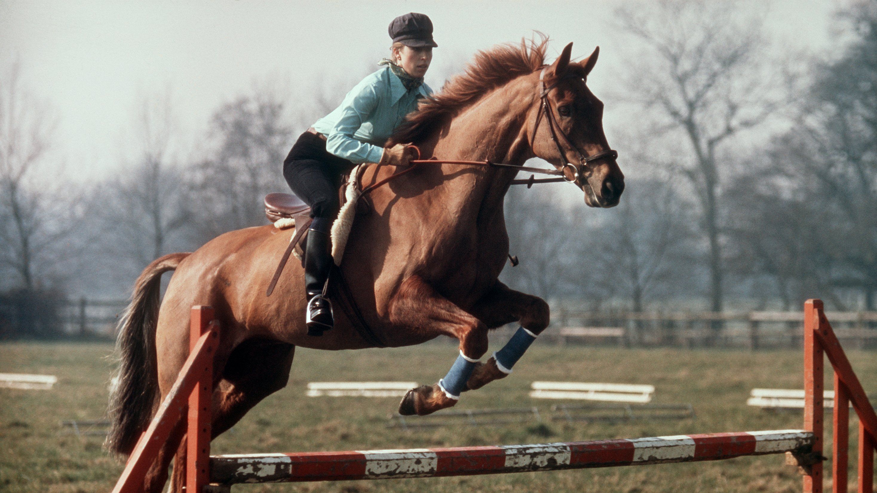 Auf ihrem Pferd "Doublet" überspringt die britische Prinzessin Anne 1976 beim Military-Training ein Hindernis. Viele Jahre machte die Prinzessin als brilliante Reiterin auf sich aufmerksam. 1971 wurde sie in Burgley Europameisterin im Military-Reiten, der gefährlichsten Disziplin des Pferdesports. 1976 nahm sie an der Olympischen Military in Montreal teil und belegte nach einem Sturz den 24. Platz. An ihrem 40. Geburtstag zieht sich Anne vom aktiven Pferdesport zurück.