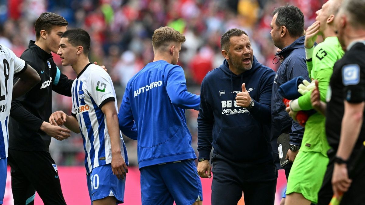 Pal Dardai gibt die Hoffnung noch nicht auf