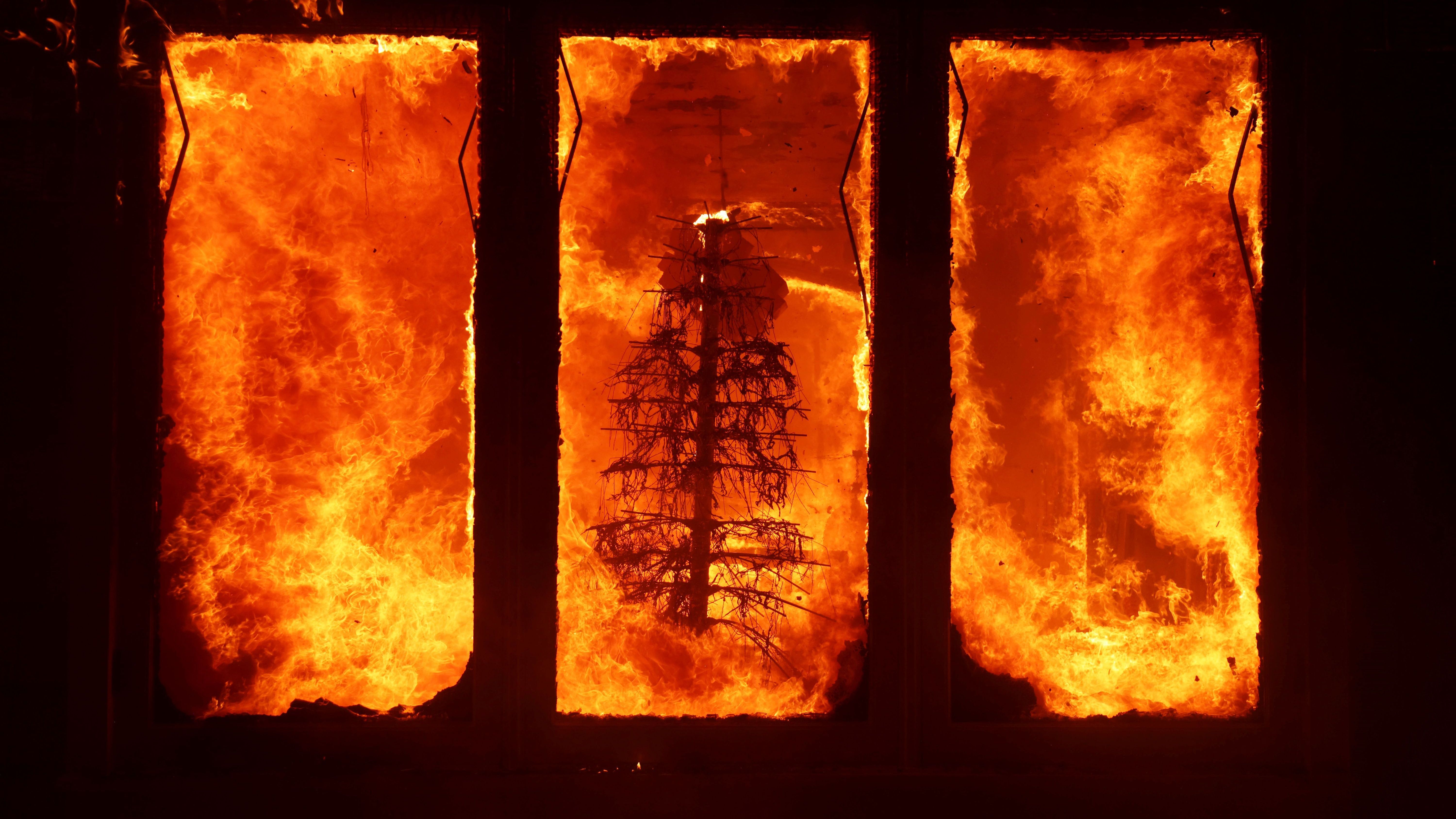 Los Angeles: Das Feuer verbrennt einen Weihnachtsbaum in einem Haus im Stadtteil Pacific Palisades.