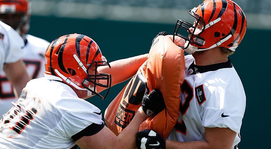 
                <strong>Cincinnati Bengals</strong><br>
                2013: Cincinnati Bengals
              