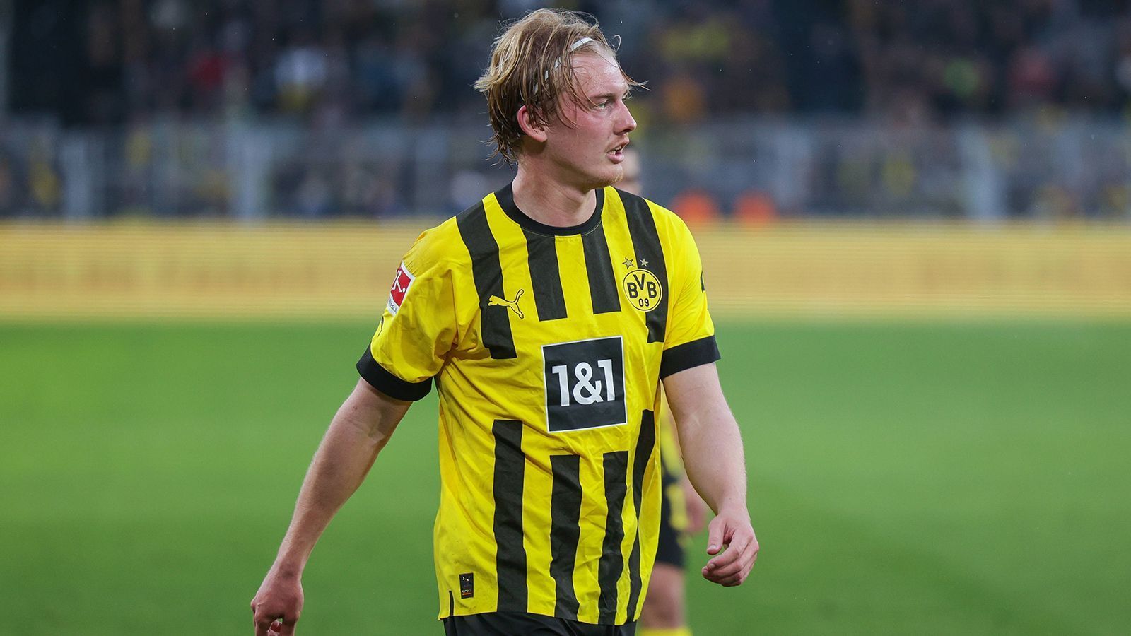 
                <strong>Mittelfeld: Julian Brandt </strong><br>
                &#x2022; Team: Borussia Dortmund<br>&#x2022; Nation: Deutschland<br>
              