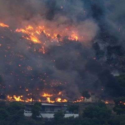 Feuer nähert sich Häusern in Kalamaki bei Agii Theodori, etwa 60 Kilometer westlich von Athen. 