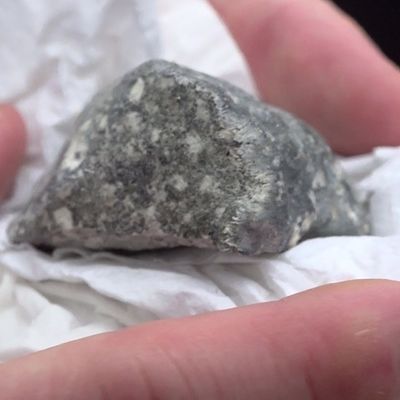 Ein mutmaßliches Meteoritenteil liegt in einem Papiertaschentuch. Das Bruchstück wurde von vier polnischen Meteoritensuchern auf einem Feld bei Ribbeck gefunden. 