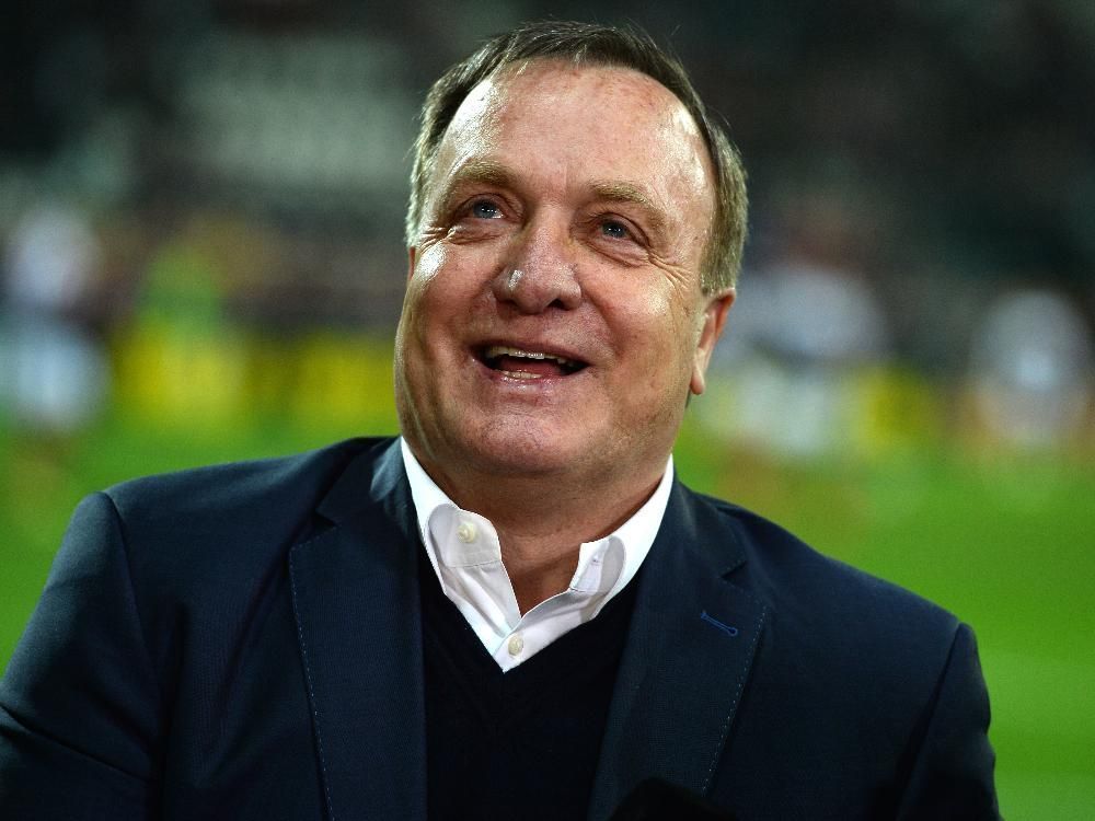 Medien: Advocaat wird serbischer Nationaltrainer