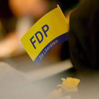 Ein FDP-Kommunalpolitiker aus Baden-Württemberg schockiert mit Ekel-Videos im Internet.