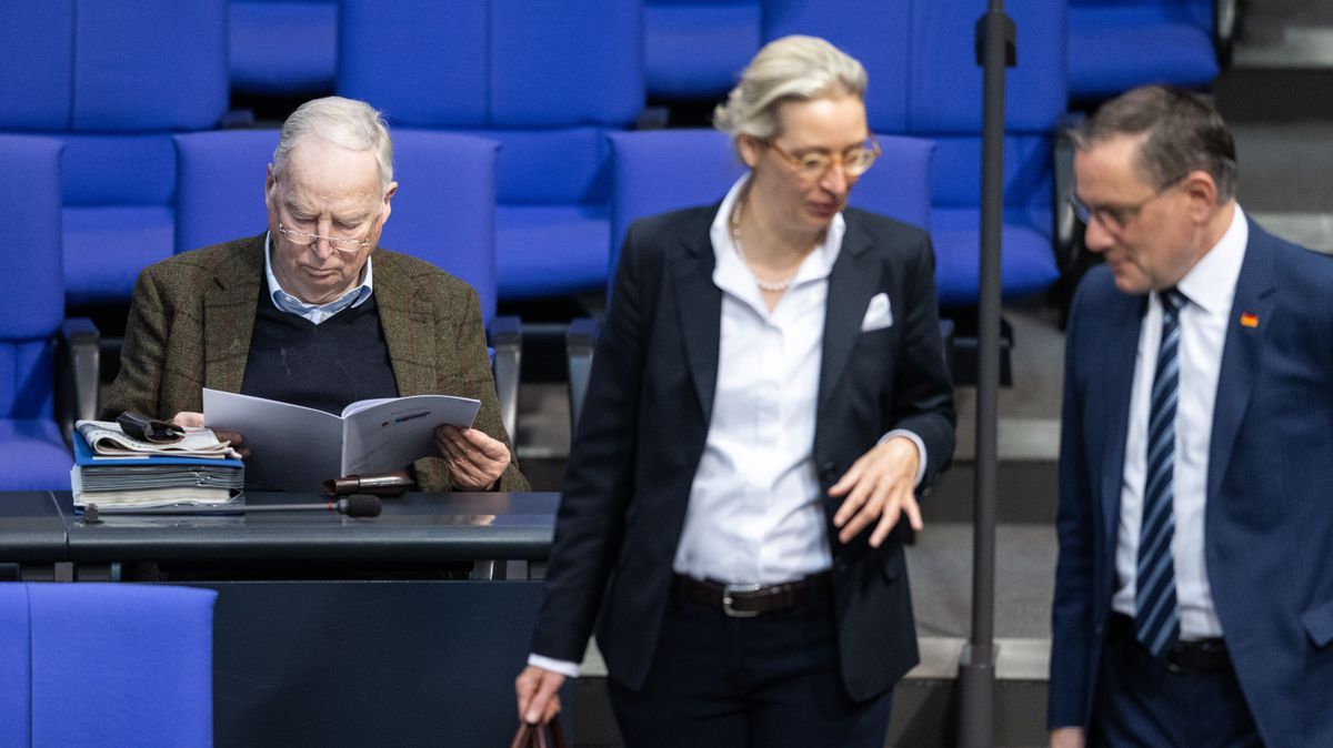Die AfD-Bundestagsfraktion beschäftigt einem BR-Bericht zufolge mehr als 100 Rechtsextremisten.