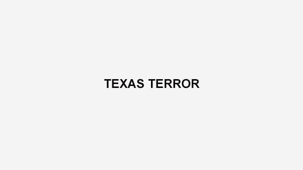 
                <strong>Texas Terror</strong><br>
                In ihrer ersten Saison in der AFL 1996 konnte Texas Terror nur ein Spiel gewinnen - gegen die Minnesota Fighting Pike. Von 1998 bis 2001 traten sie schließlich als Houston ThunderBears auf.
              