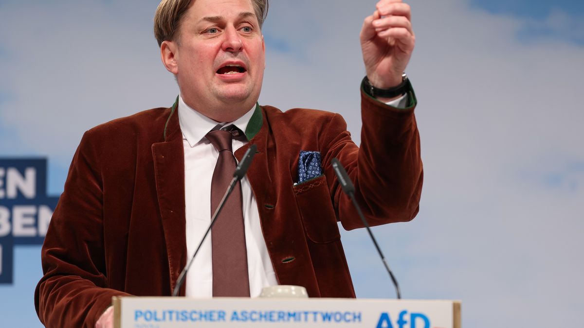 Maximilian Krah, Spitzenkandidat der AfD für die Europawahl. Die Kurzvideo-Plattform Tiktok hat die Reichweite des AfD-Politikers Maximilian Krah gedrosselt. 