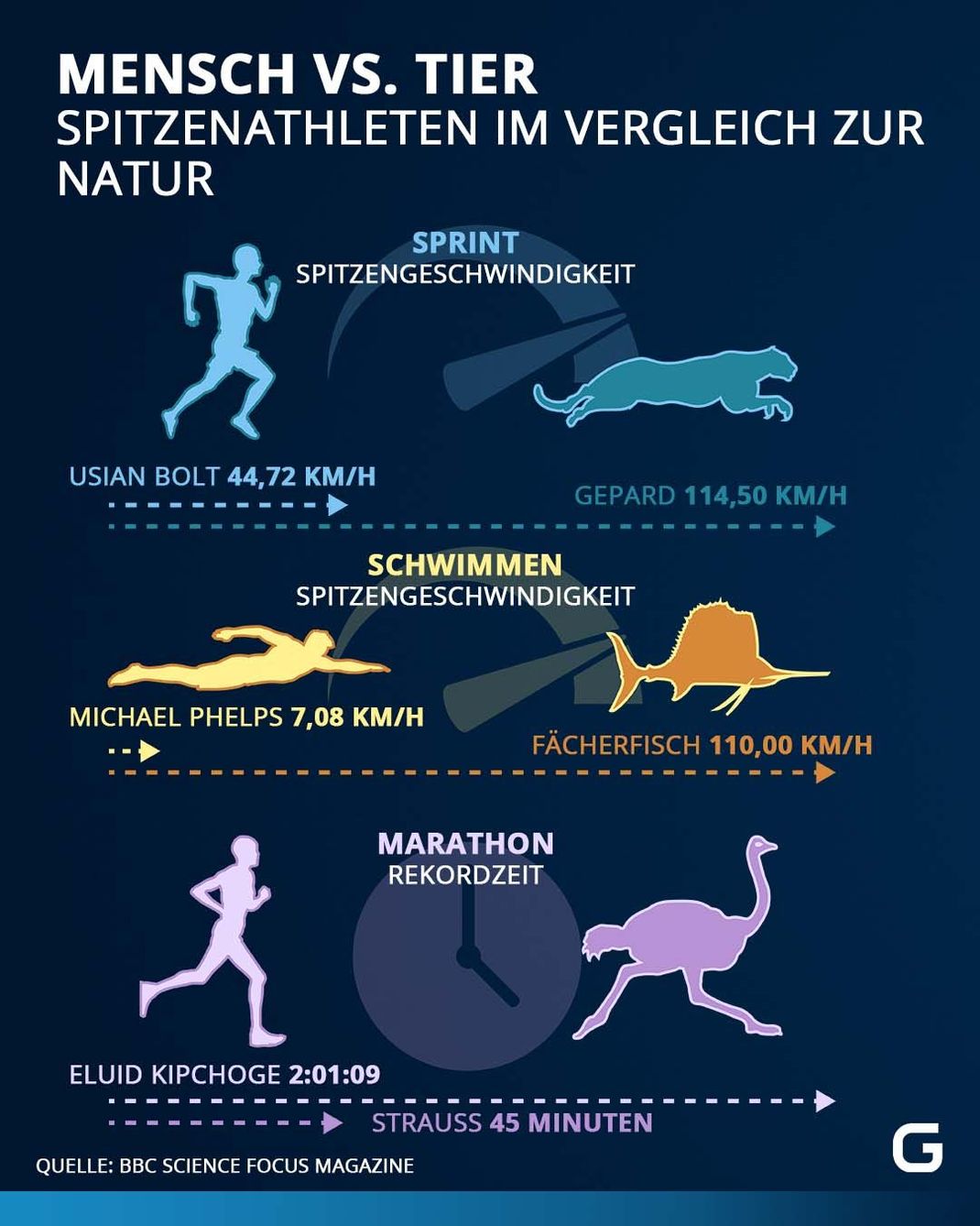 Tier und Mensch im Vergleich: Wer ist schneller?