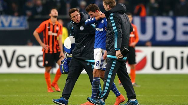 
                <strong>Leon Goretzka (FC Schalke 04)</strong><br>
                Leon Goretzka (FC Schalke 04): Im Europa-League-Spiel gegen Schachtar Donezk zieht sich Leon Goretzka eine Sprengung des Schultergelenkes zu und fehlt den "Knappen" mehrere Wochen.
              
