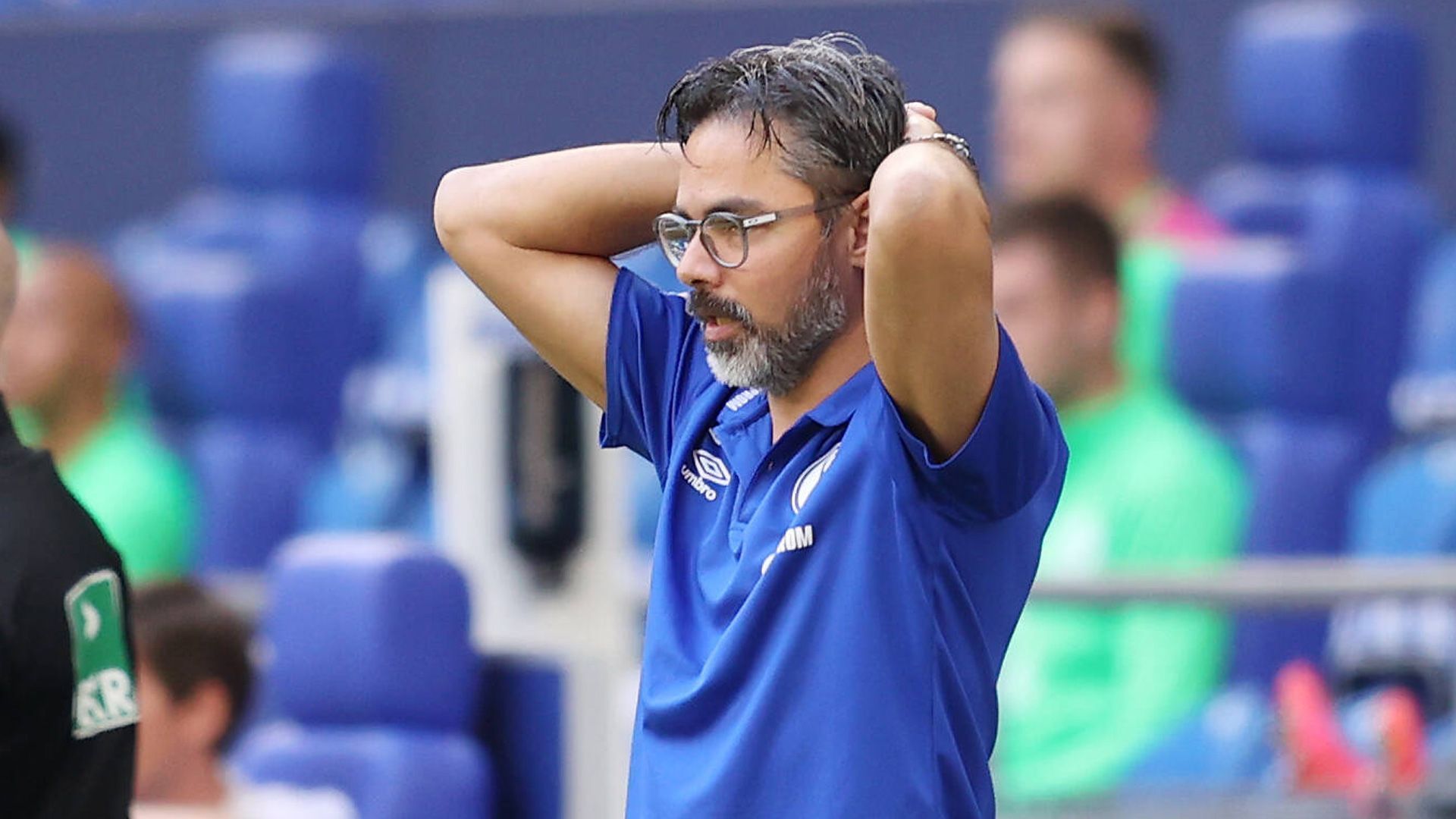 
                <strong>David Wagner (FC Schalke 04)</strong><br>
                "Wir nehmen viel richtig Gutes aus dem Spiel mit, nur das Beste nicht, die drei Punkte"(Bilanz von Schalke-Coach David Wagner nach dem unglücklichen 0:0 im Derby gegen Borussia Dortmund)
              