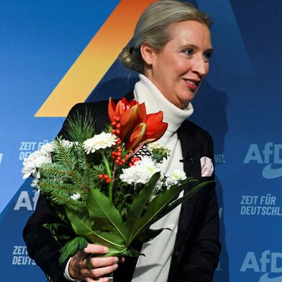 GERMANY-POLITICS/AFD