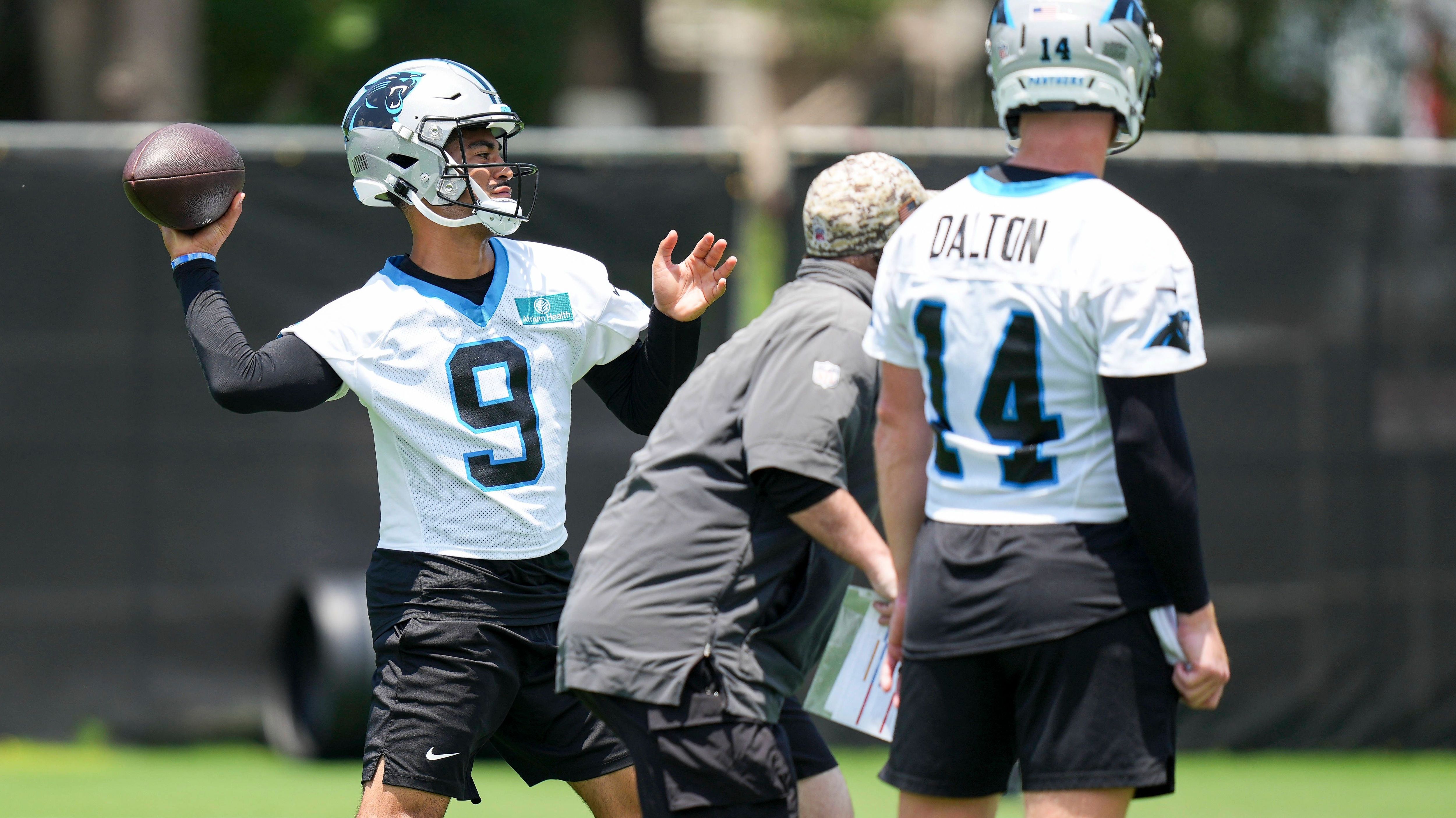 <strong>Carolina Panthers (weniger als 1 Prozent)</strong>