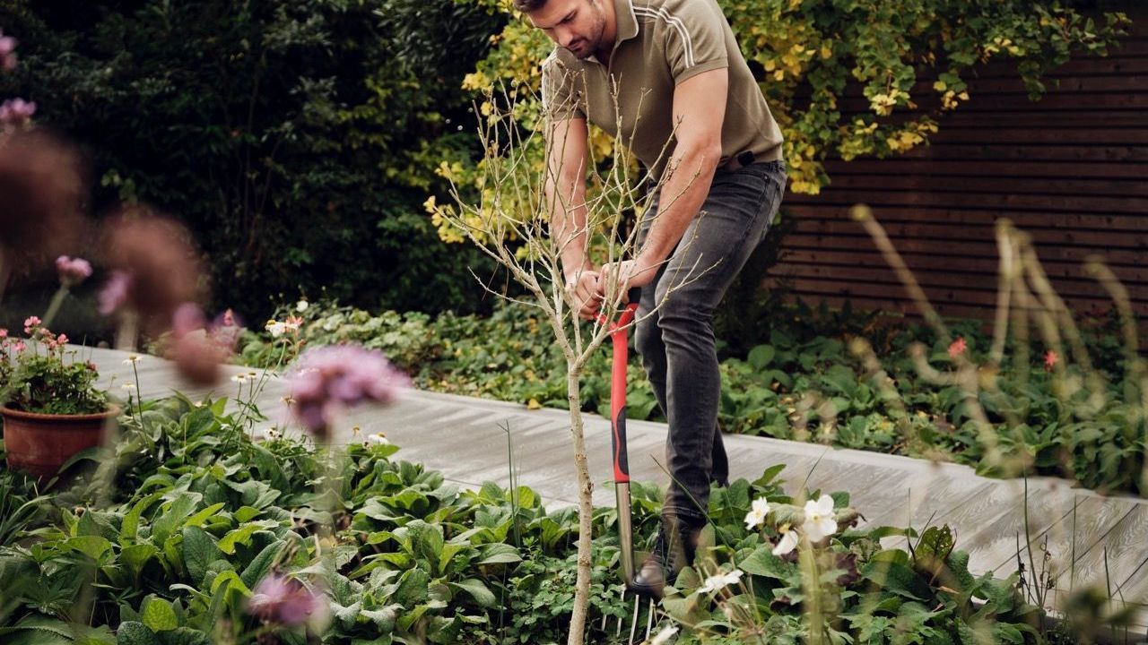 Die Bodenart im Garten bestimmen: Tipps und Tricks zur Bodenanalyse und Verbesserung der Erde