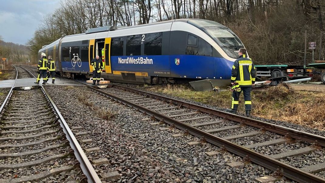 Wegen eines umgestürzten Baumes ist eine Regionalbahn entgleist. Verletzt wurde niemand.