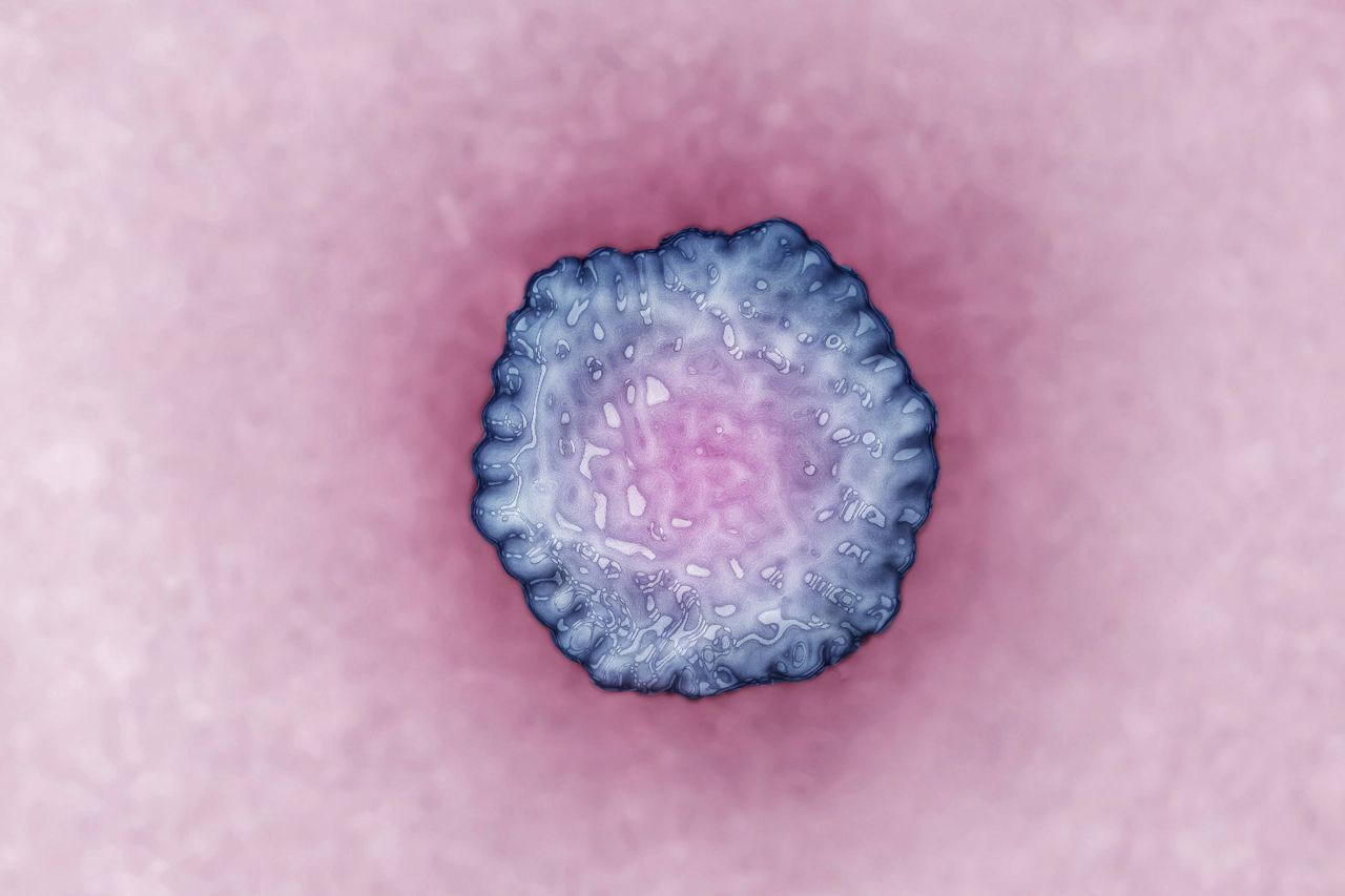 Viren sehen sehr unterschiedlich aus. Viele Viren sind sehr symmetrisch aufgebaut, oft mit vielen Ecken. Es gibt aber auch runde, stäbchenförmige, qualquapartige. Ein Teil hat eine Hülle aus Eiweiß. Auf dem Bild ein Hepatitis-A-Virus.