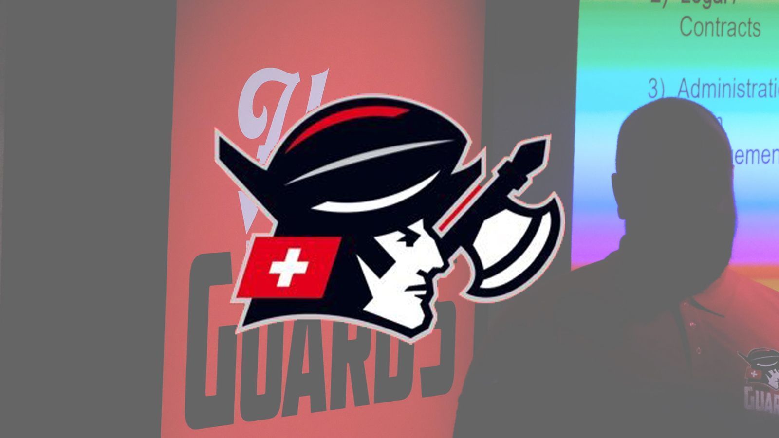 
                <strong>Helvetic Guards </strong><br>
                
              