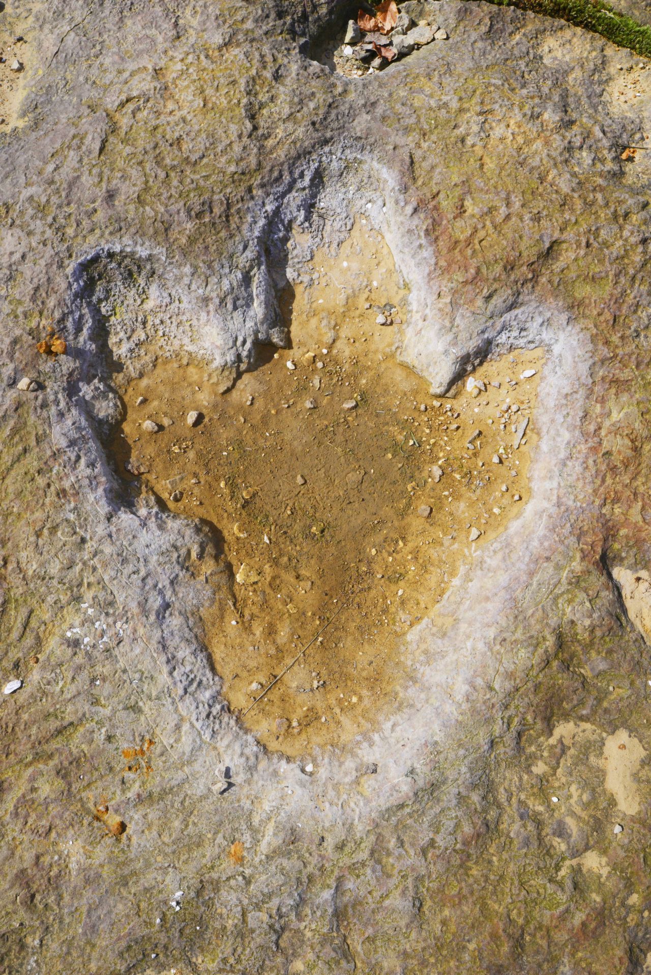 Im Obernkirchener Sandsteinbruch in Deutschland kannst du dich auf Zeitreise begeben und Fährten von Dinosauriern entdecken.