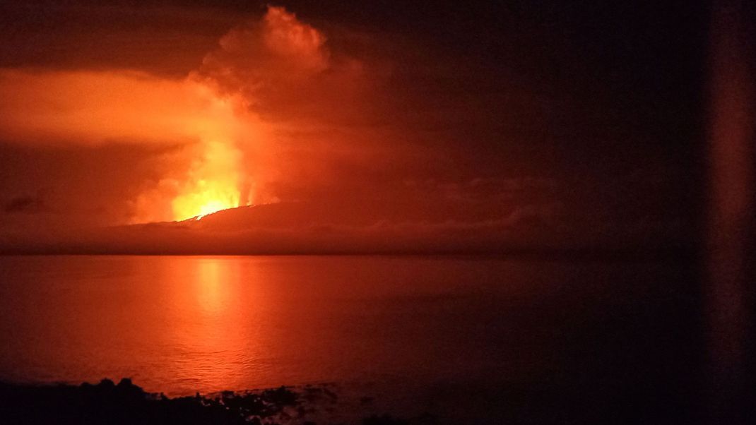 Auf der unbewohnten Galápagos-Insel Fernandina ist am Sonntag (3. März) der Vulkan La Cumbre ausgebrochen.