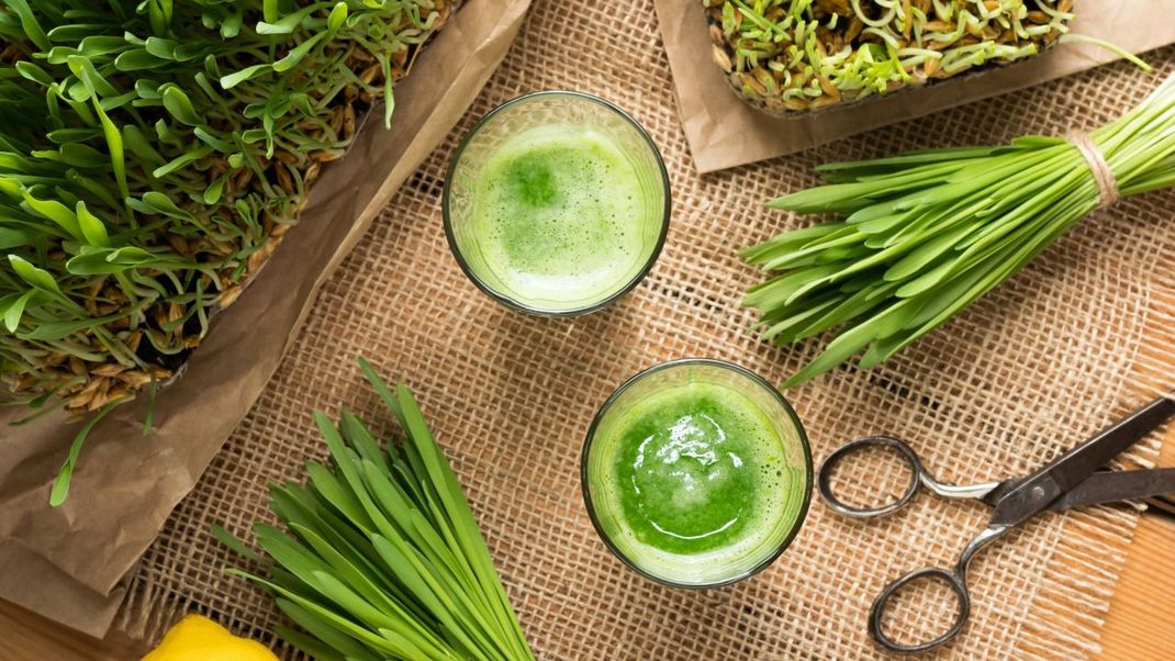 Gerstengras: Was ist dran am Hype um das sogenannte Superfood?