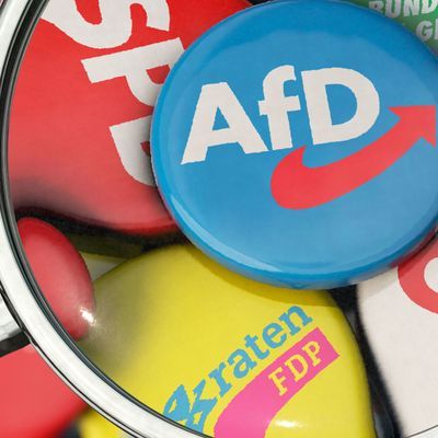 Die AfD im Fokus