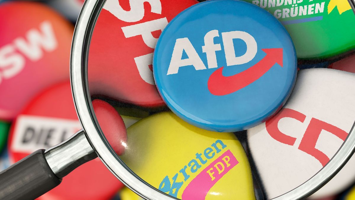 Die AfD im Fokus