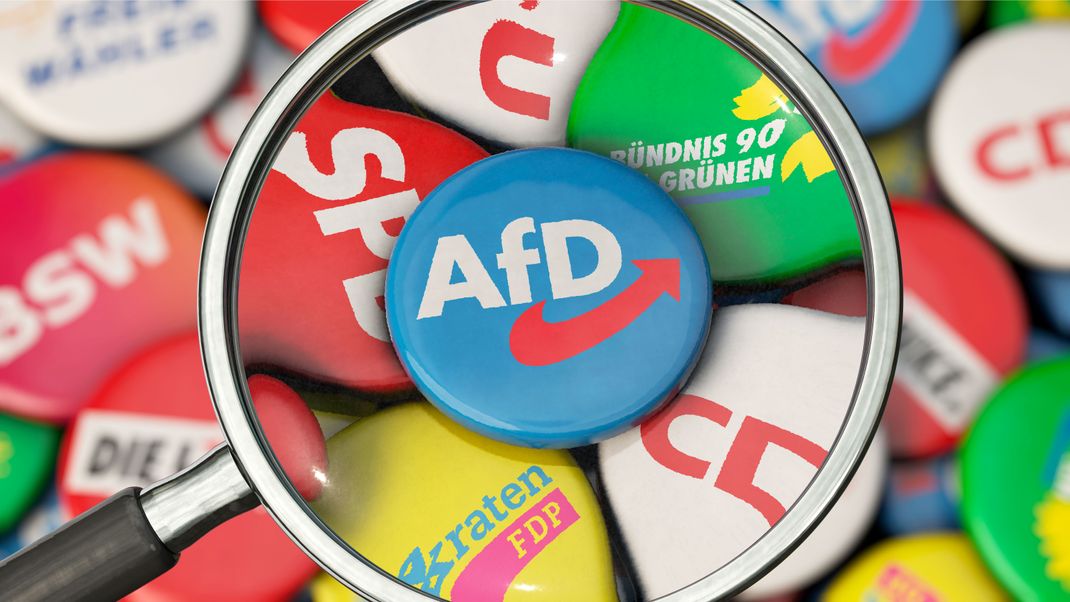 Die AfD will mit EU-kritischen Themen bei der Bundestagswahl punkten. (Symbolbild)