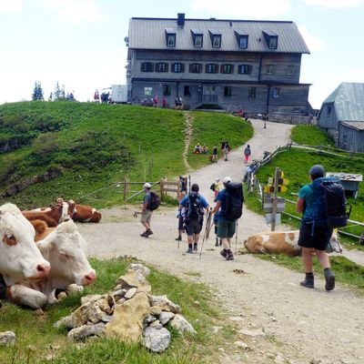 Rotwandhaus nach Magen-Darm-Erkrankungen geschlossen