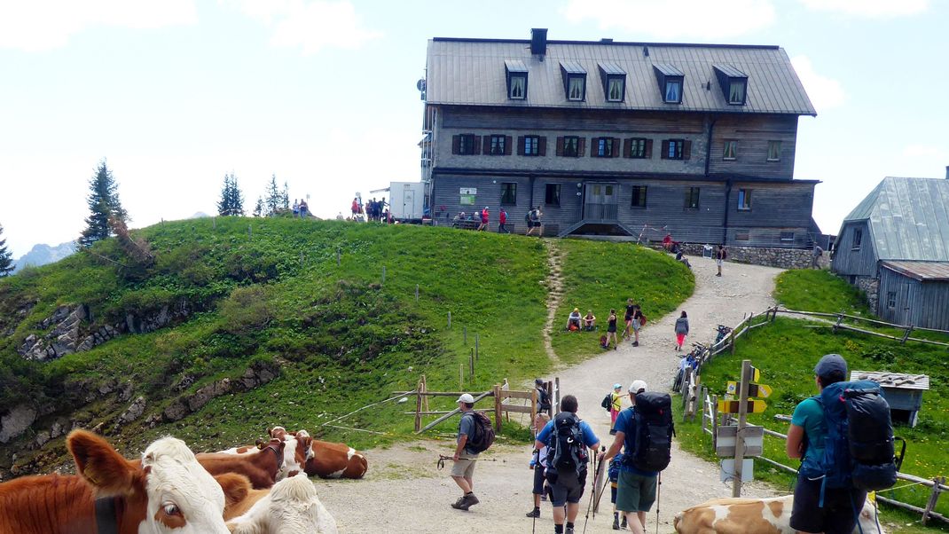 Rotwandhaus nach Magen-Darm-Erkrankungen geschlossen