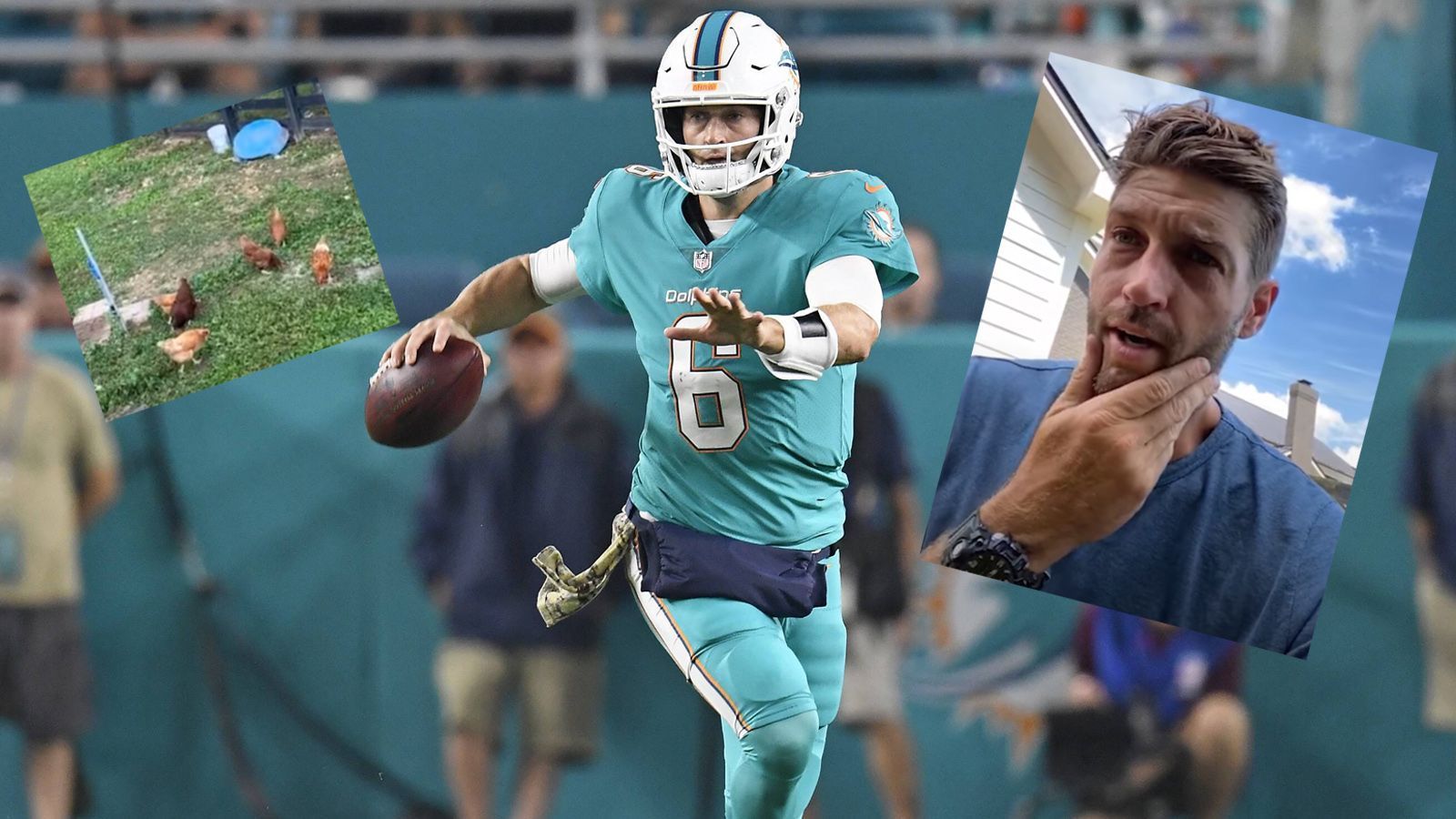 <strong>Jay Cutler</strong><br>
                Der ehemalige Quarterback Jay Cutler hat seine NFL-Karriere nach seinem Comeback im Jahre 2017 bei den Miami Dolphins endgültig beendet, fand aber eine neue Berufung: Der 37-Jährige betreibt in Nashville eine kleine Hühnerfarm. Allerdings bereitete ihm dies zuletzt viel Ärger. In diesem Sommer wurden mehrere seiner Hühner getötet. Der Täter? Unbekannt. Zwischendurch verdächtigte der ehemalige Spielmacher sogar seine eigene Katze. Cutler machte die Suche nach dem Serien-Killer über die sozialen Medien publik. Schließlich installierte er eine Kamera, um den Hühner-Mörder zu entlarven. Mit Erfolg: Ein Waschbär entpuppte sich als der Täter.