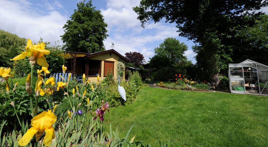 Schrebergarten mieten? Tipps für den Kleingarten SAT.1 Ratgeber