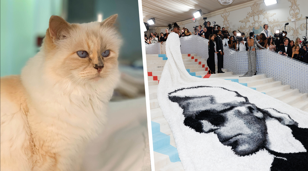 Karl Lagerfelds Katze Choupette wurde zur Met Gala 2023 eingeladen. Wir verraten, warum sie nicht dabei war und wie ihr Leben heute aussieht.