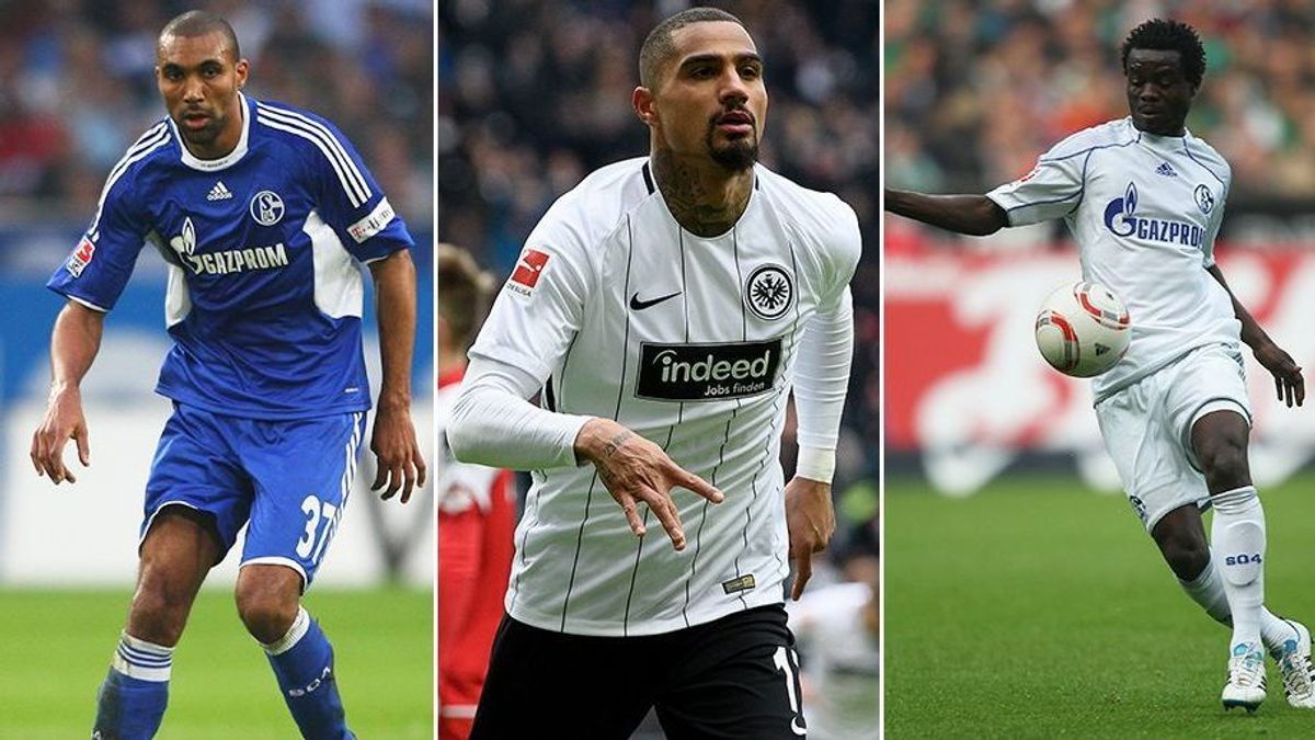 Karriere-Knick auf Schalke Teaser