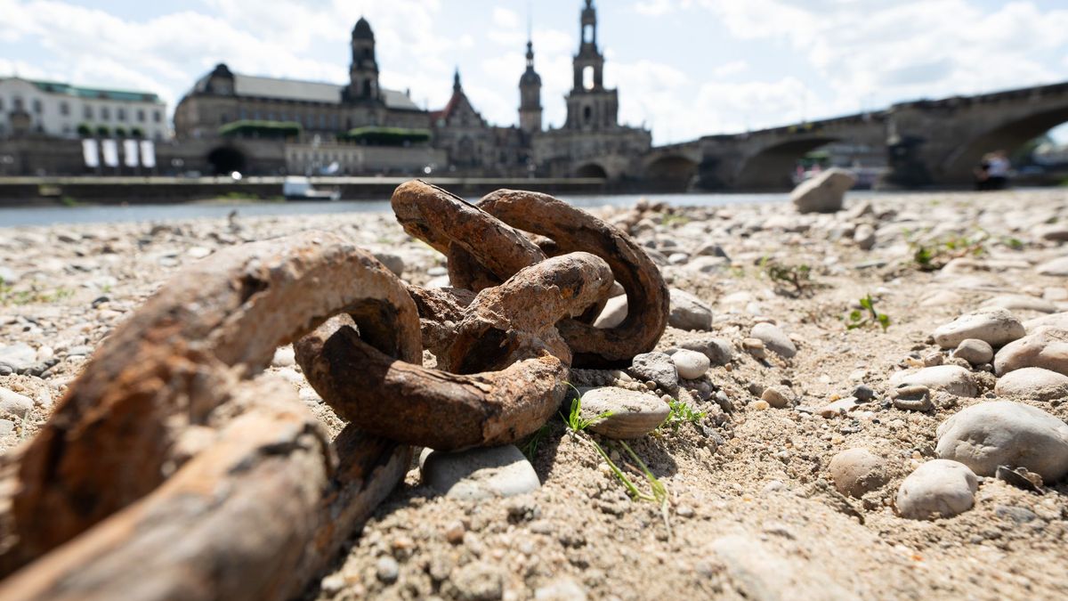 Sommer in Sachsen