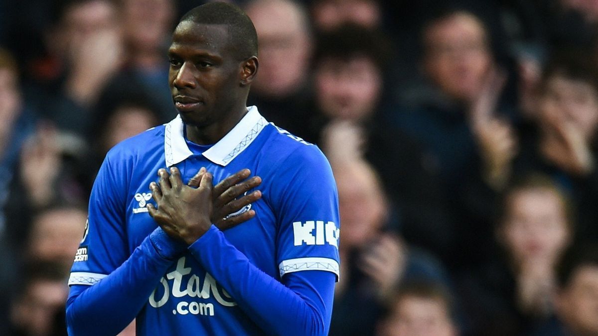 Abdoulaye Doucouré vom FC Everton