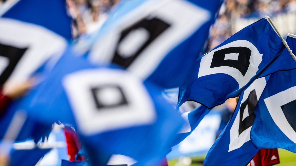 Hamburg, 20. Oktober 2024 - Fußball, 2. Bundesliga 2024 25, Hamburger SV - 1. FC Magdeburg: Einlaufkinder mit Fahnen DFL REGULATIONS PROHIBIT ANY USE OF PHOTOGRAPHS AS IMAGE SEQUENCES AND OR QUASI-...