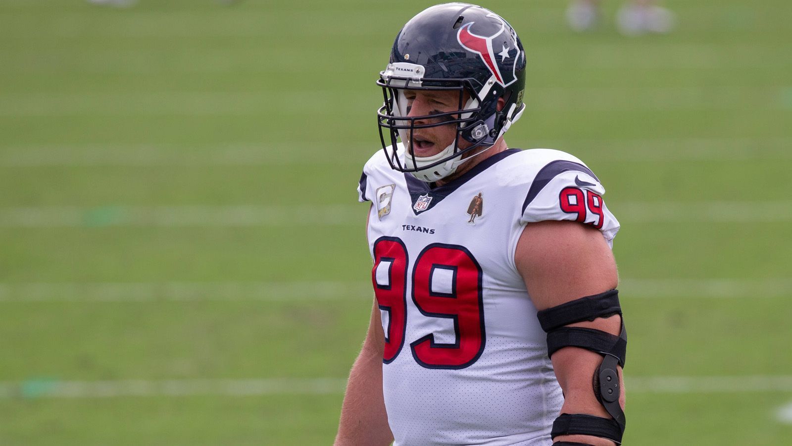 
                <strong>Houston Texans: J.J. Watt (Defensive End) </strong><br>
                Watt dominierte als Defensive End und wurde mehrmals zum Defensive Player of the Year ernannt.
              