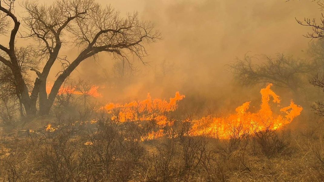 Im US-Bundesstaat Texas wüten verheerende Waldbrände, die nun auch eine Nuklearanlage bedrohen.