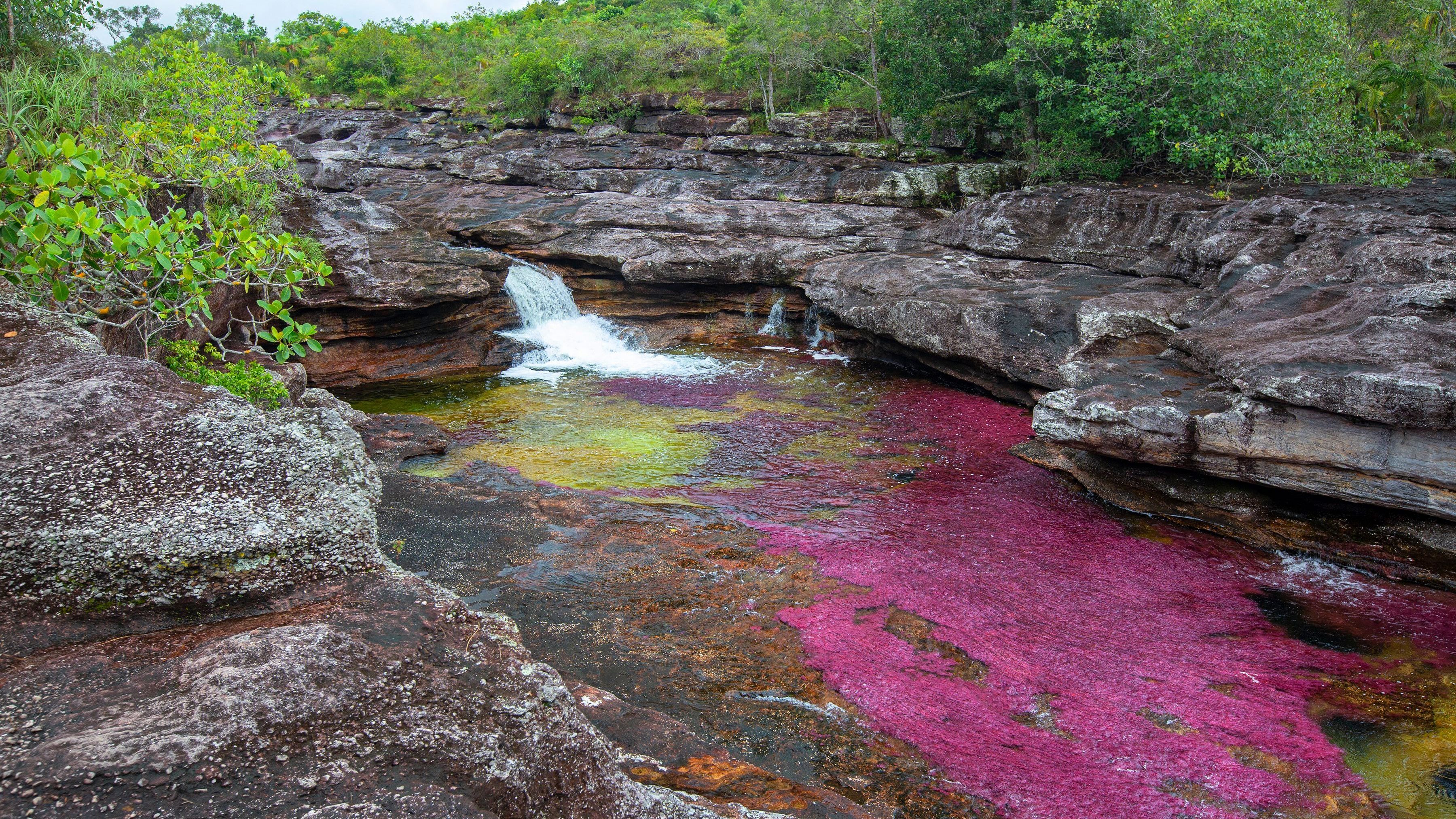 Caño Cristales