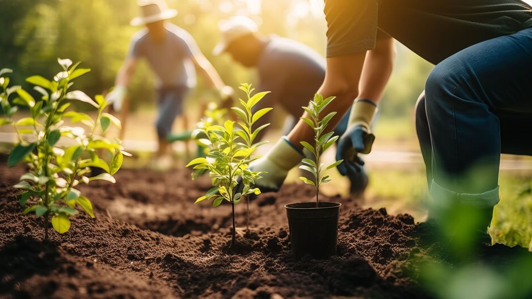 Wusstest du, dass du Gartenarbeit von der Steuer absetzen kannst? Hier erfährst du wie: