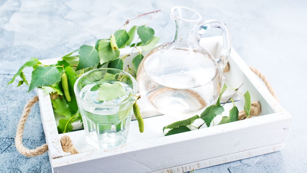 Birkenwasser wird schon seit Jahrhunderten als Hausmittel eingesetzt.