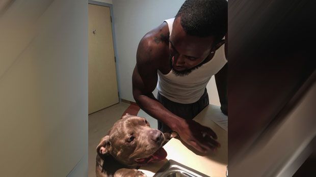 
                <strong>Kam Chancellor und sein Hund</strong><br>
                An den trainingsfreien Tagen hat Kam Chancellor mehr Zeit für seinen Hund. Da darf der Vierbeiner auch mal einen Blick darauf werfen, was so auf den Tisch kommt.
              