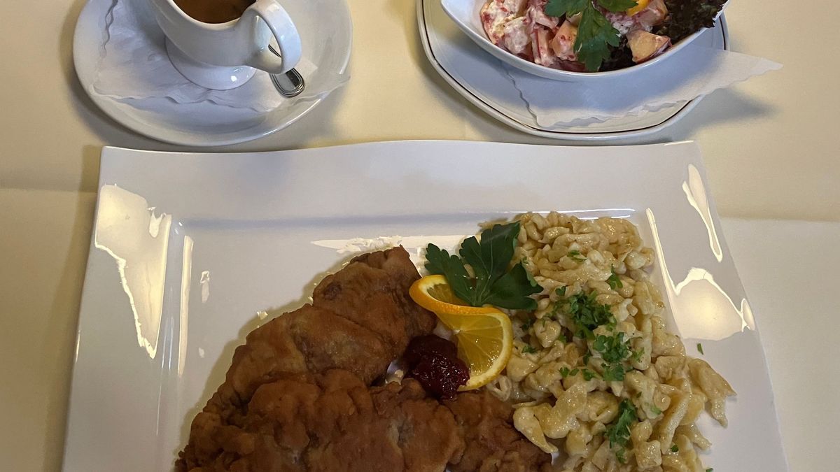 Wildschnitzel, Eierspätzle, Pilzrahmsoße, Apfel-Preiselbeer-Salat