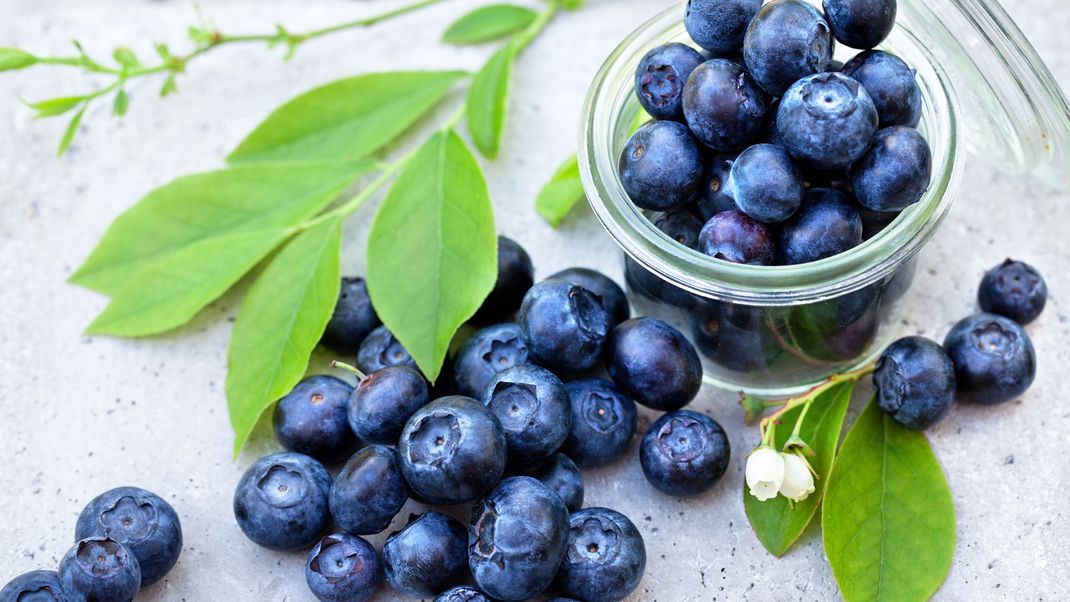 Wegen möglicher Verunreinigungen durch Steine in den Waldheidelbeeren der Lausitzer Früchteverarbeitung GmbH ruft der Hersteller das Produkt vorsorglich zurück.&nbsp;