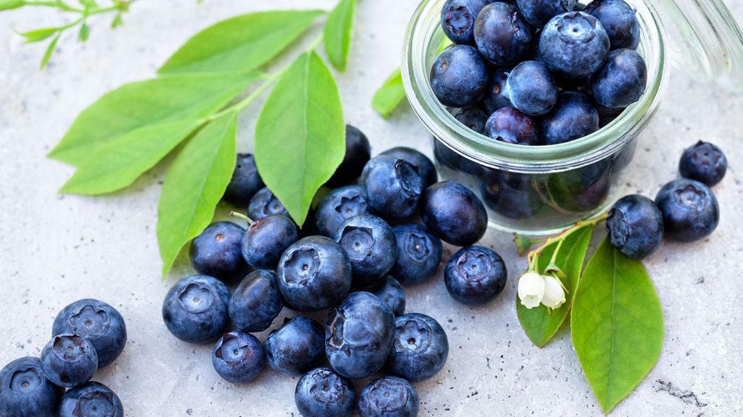 Frische Heidelbeeren