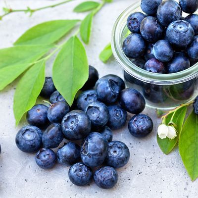 Frische Heidelbeeren