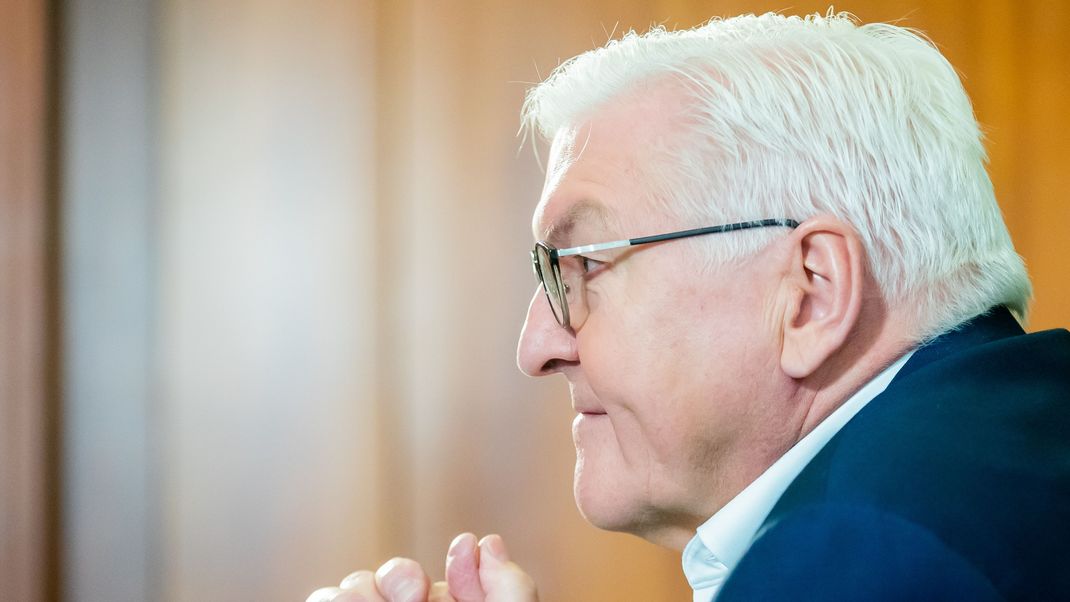 Bundespräsident Frank-Walter Steinmeier 