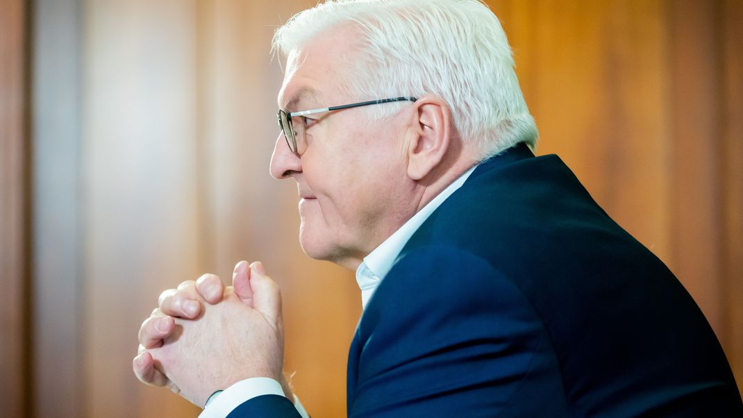 Bundespräsident Frank-Walter Steinmeier 
