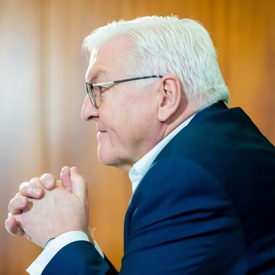 Bundespräsident Frank-Walter Steinmeier 